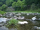 2007-05-10 006.JPG